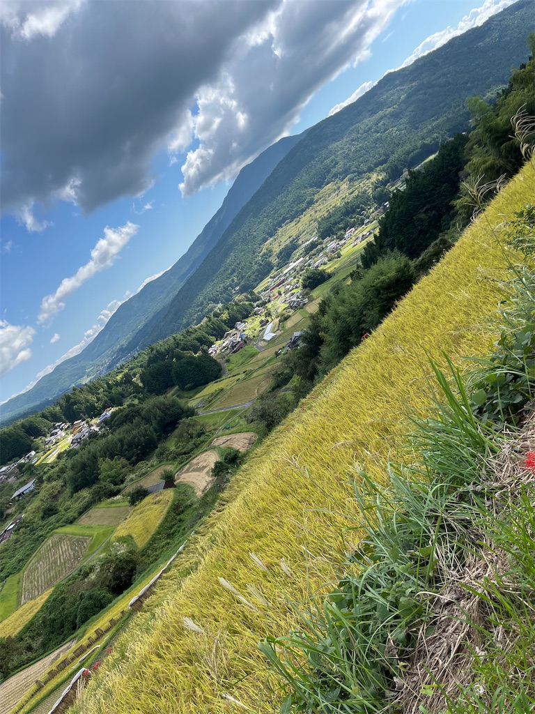 f:id:goukakuigakubu:20240925133342j:image