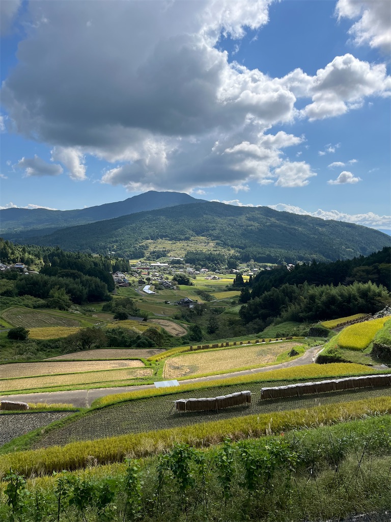f:id:goukakuigakubu:20240925133345j:image