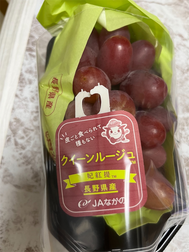 f:id:goukakuigakubu:20241001164657j:image