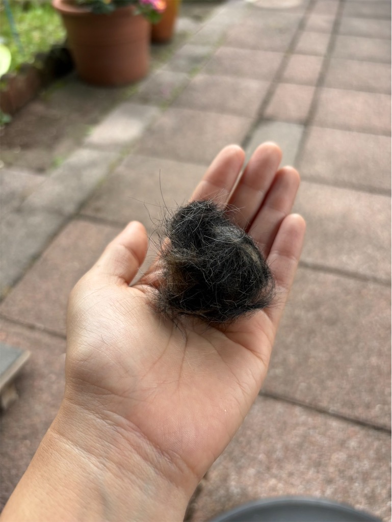 f:id:goukakuigakubu:20241007090928j:image