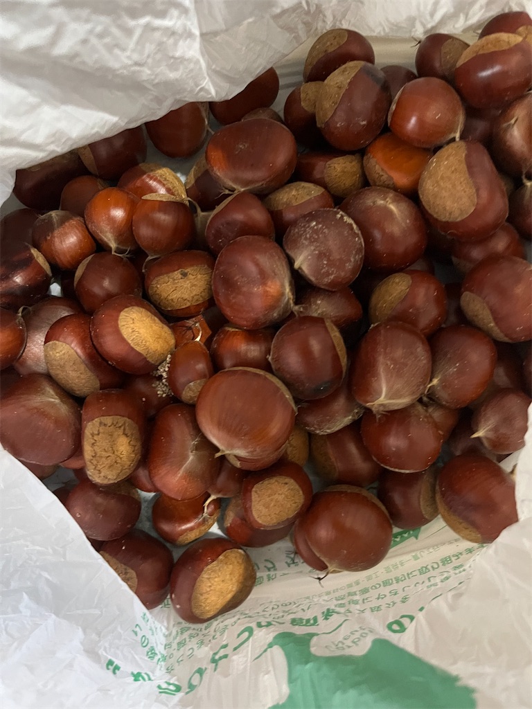 f:id:goukakuigakubu:20241008091127j:image f:id:goukakuigakubu:20241008091127j:image