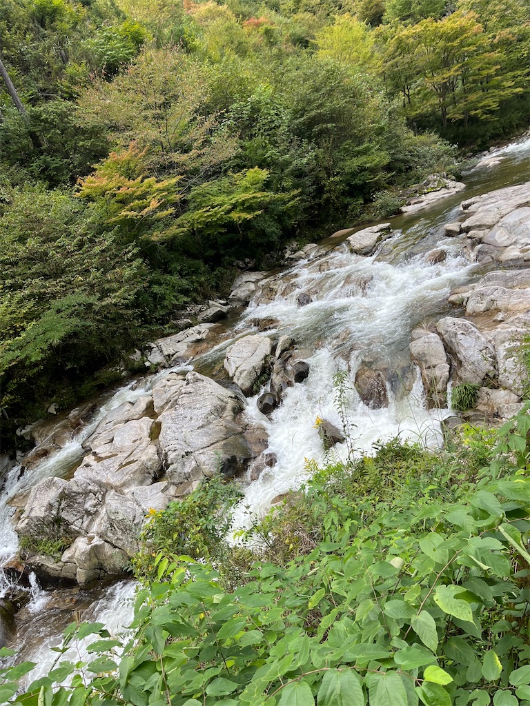 f:id:goukakuigakubu:20241010132458j:image