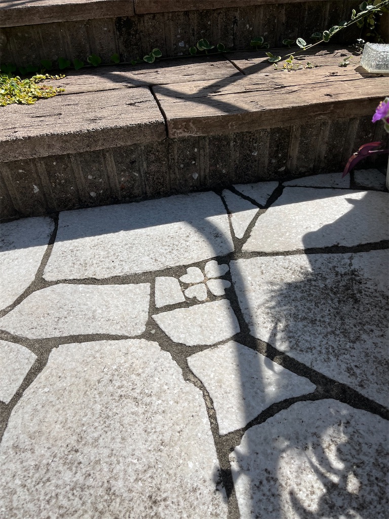 f:id:goukakuigakubu:20241012103603j:image