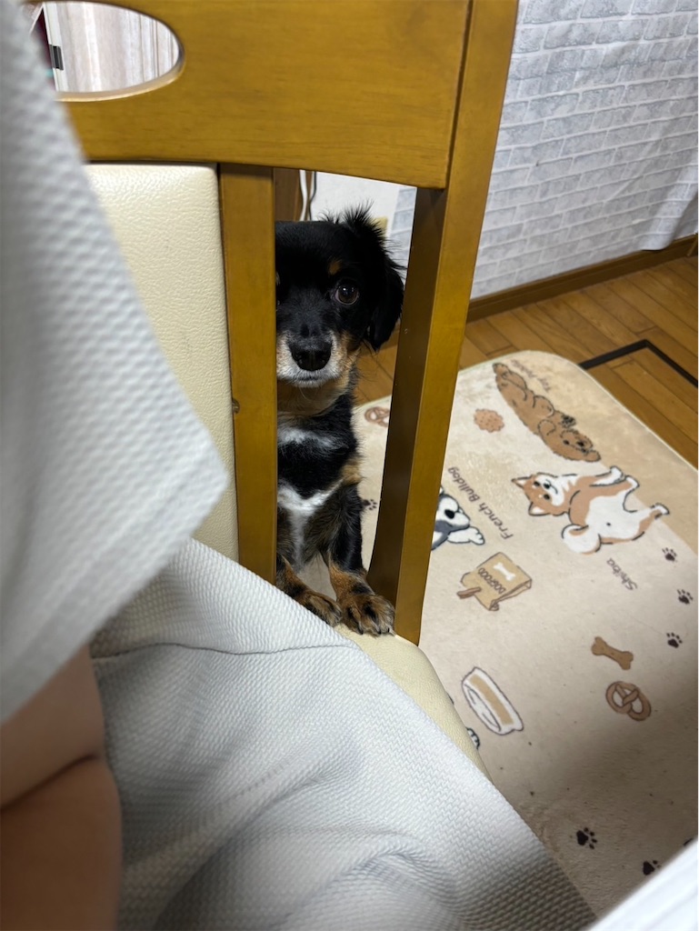 f:id:goukakuigakubu:20241013074210j:image