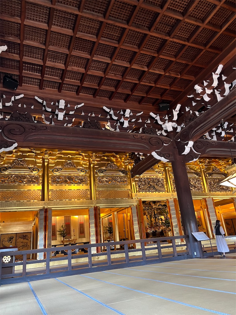 f:id:goukakuigakubu:20241015075847j:image