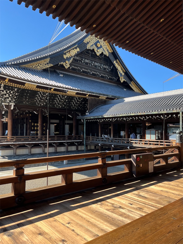 f:id:goukakuigakubu:20241015075850j:image