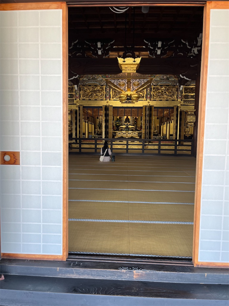 f:id:goukakuigakubu:20241015082758j:image