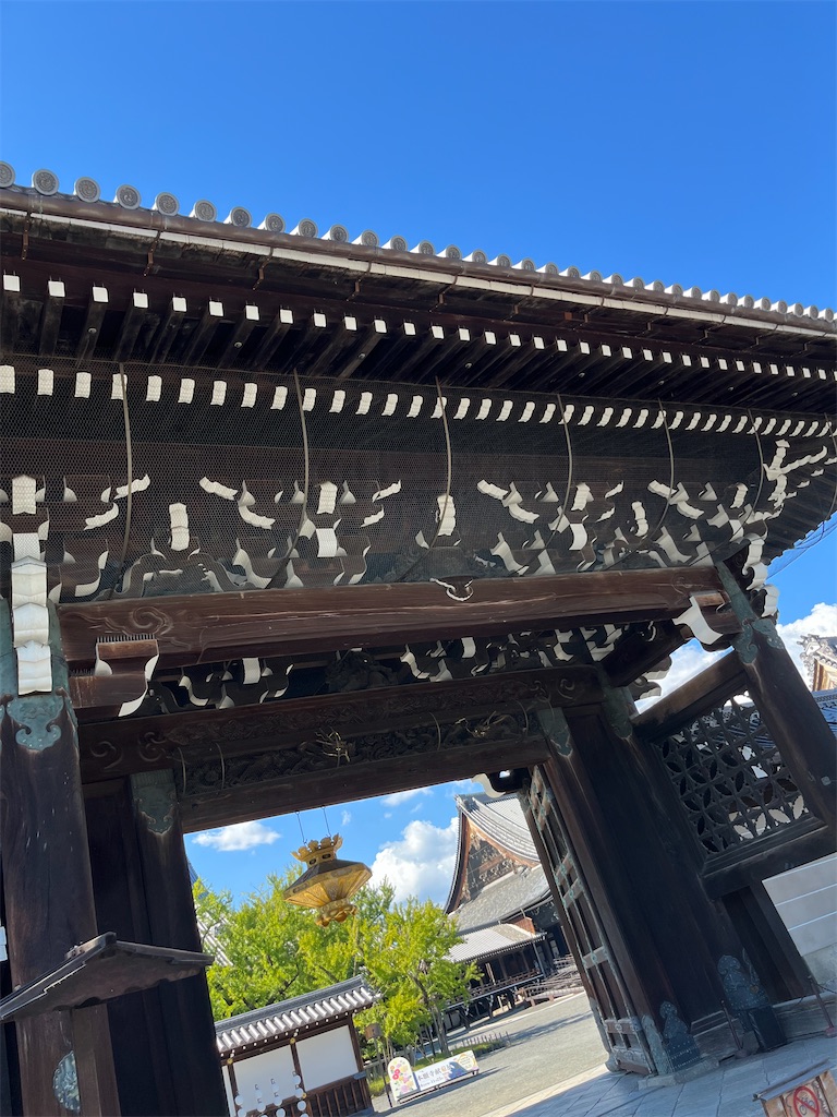f:id:goukakuigakubu:20241015082808j:image