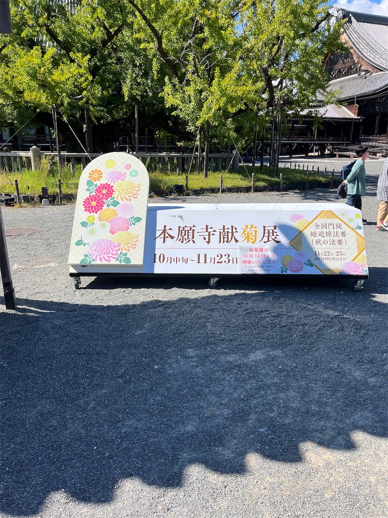 f:id:goukakuigakubu:20241015082818j:image