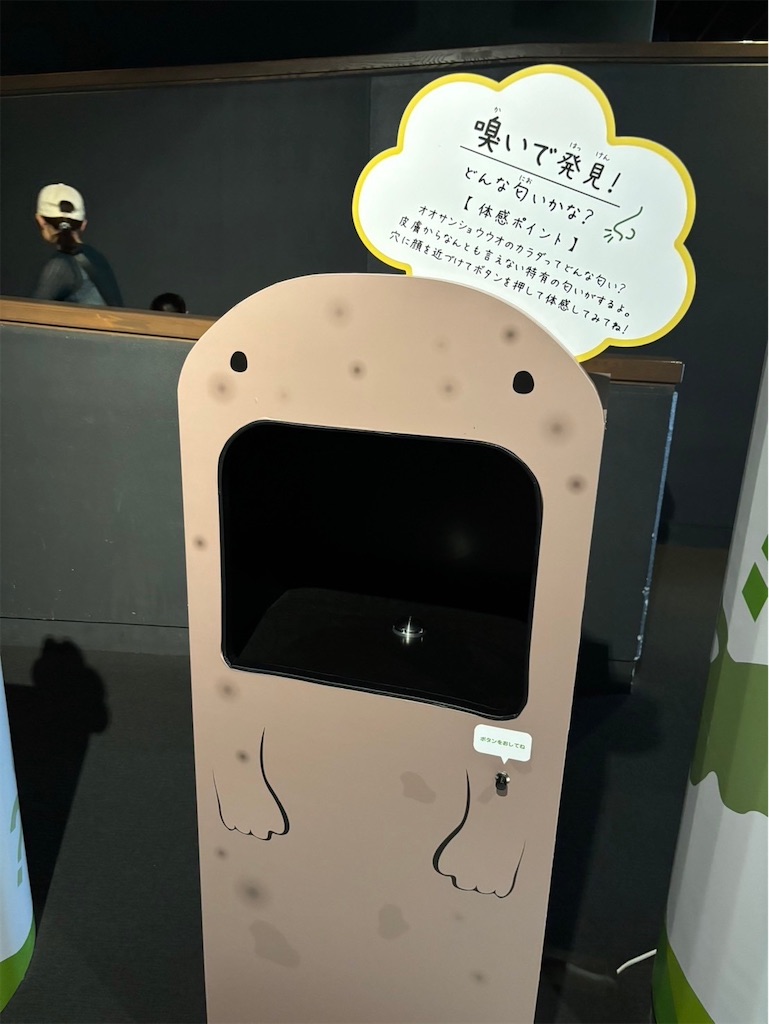 f:id:goukakuigakubu:20241016095038j:image