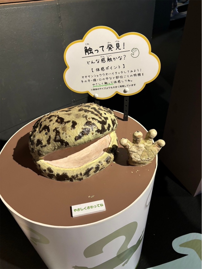 f:id:goukakuigakubu:20241016095042j:image