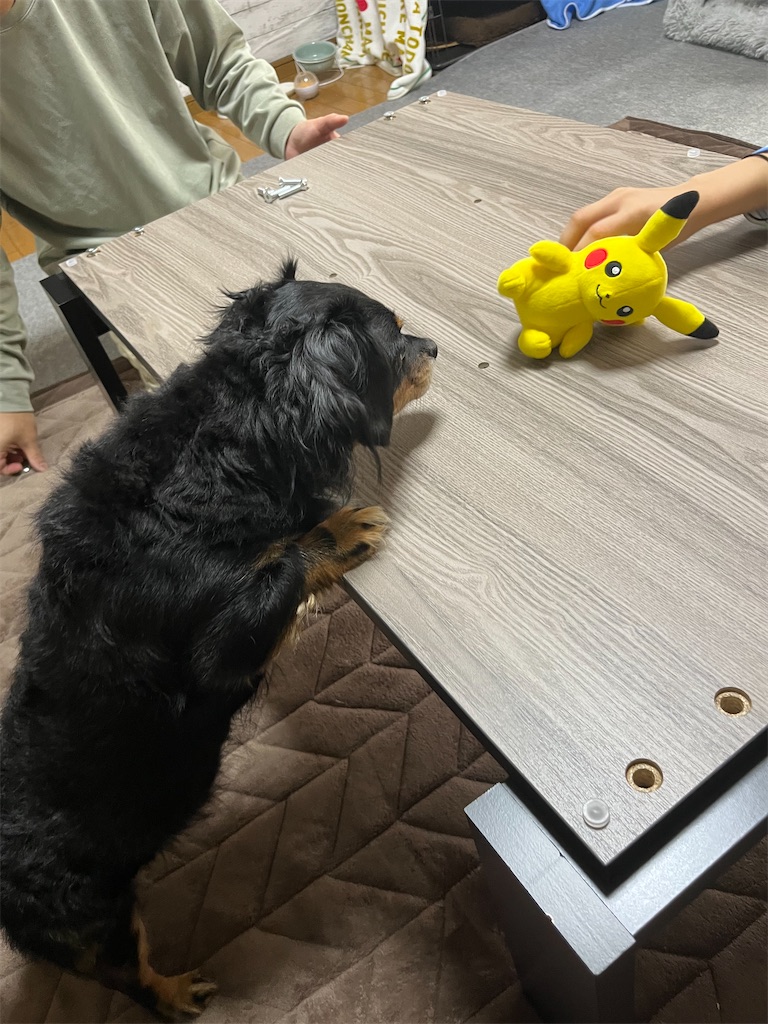 f:id:goukakuigakubu:20241021102635j:image