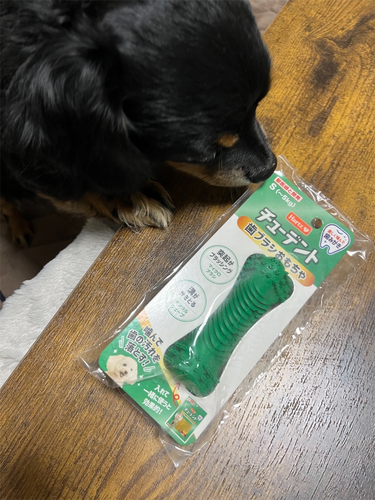 f:id:goukakuigakubu:20241022073410j:image