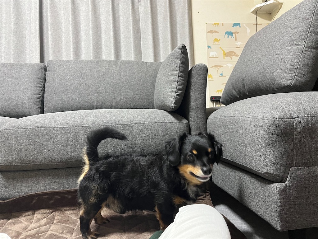 f:id:goukakuigakubu:20241023070858j:image