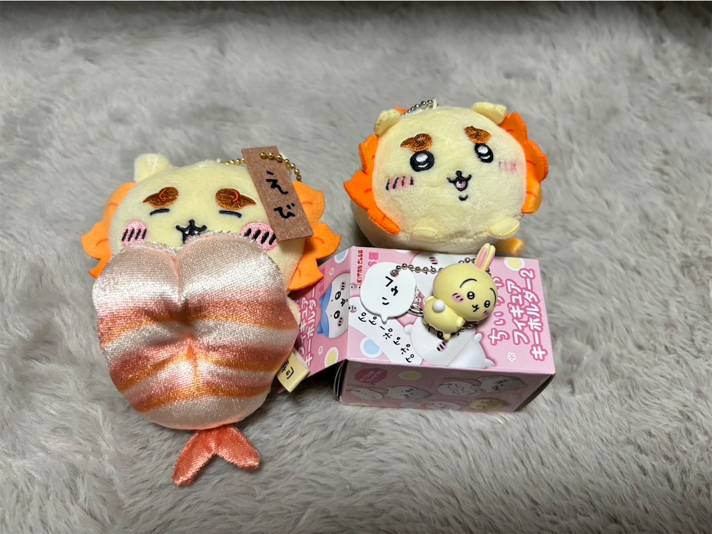 f:id:goukakuigakubu:20241028101543j:image