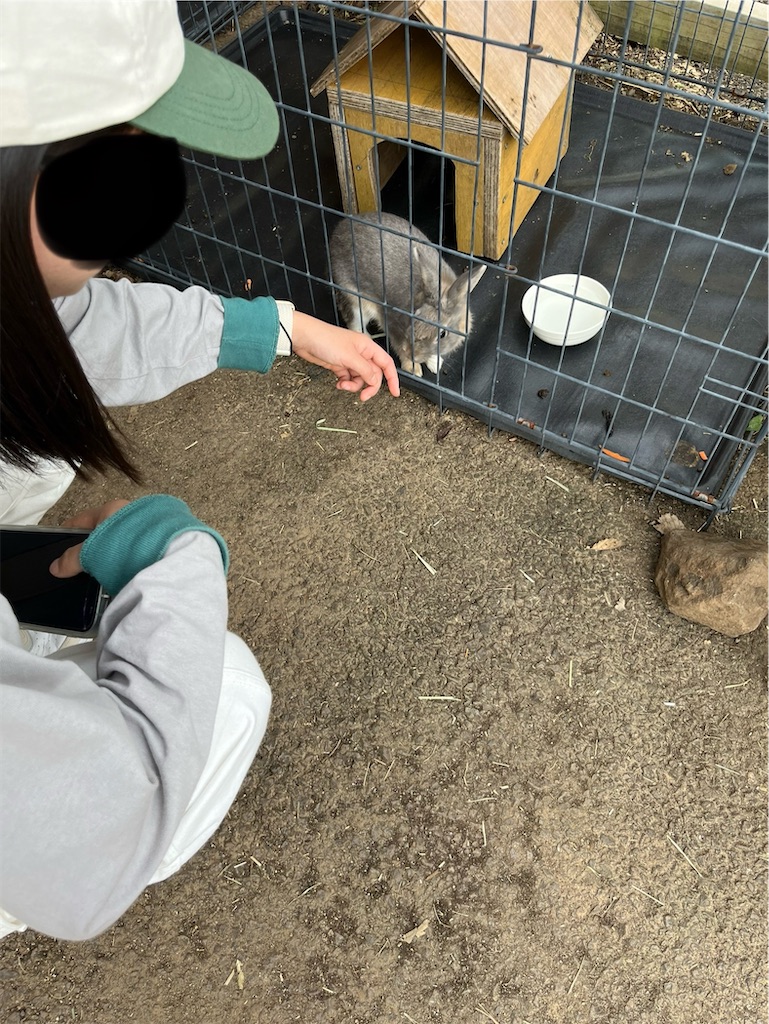 f:id:goukakuigakubu:20241029091306j:image