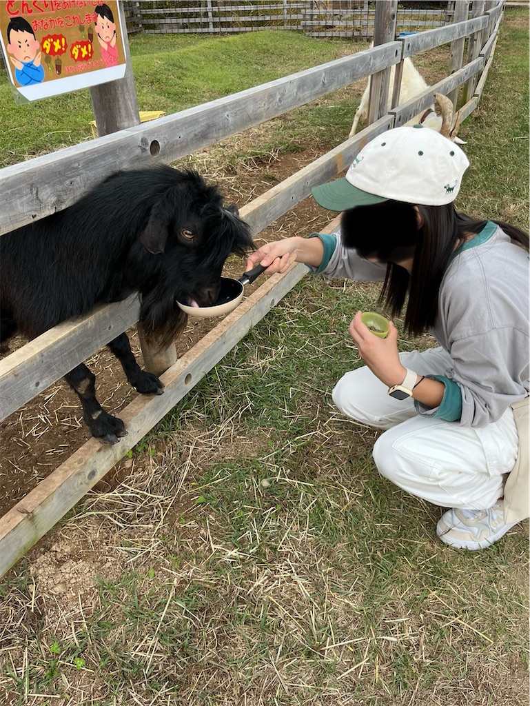 f:id:goukakuigakubu:20241029091309j:image
