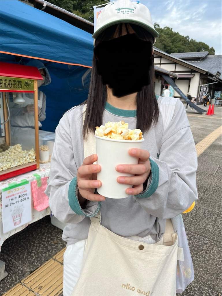 f:id:goukakuigakubu:20241029091853j:image
