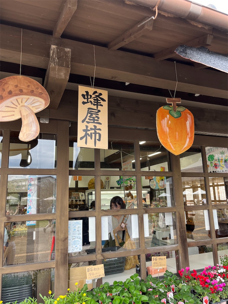 f:id:goukakuigakubu:20241029092727j:image