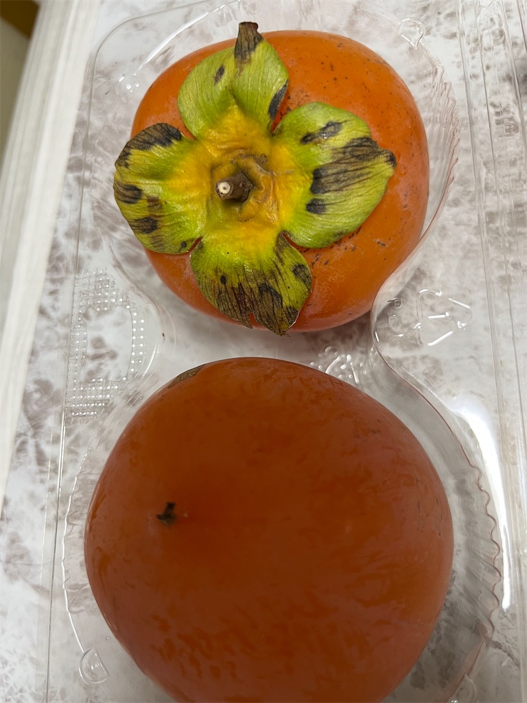 f:id:goukakuigakubu:20241029092807j:image