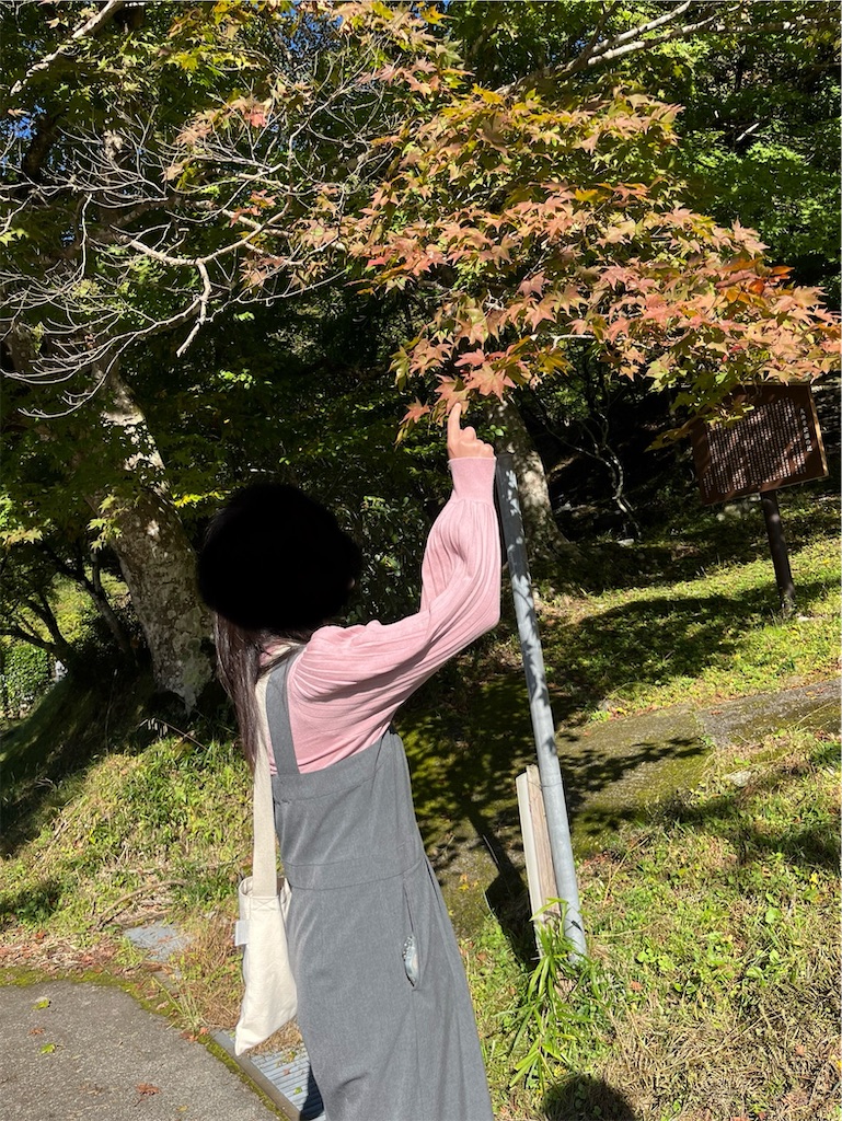 f:id:goukakuigakubu:20241103174458j:image