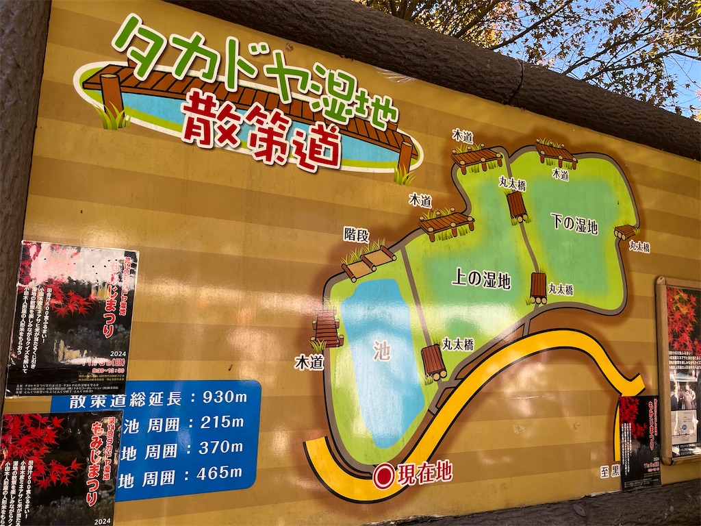 f:id:goukakuigakubu:20241105090726j:image