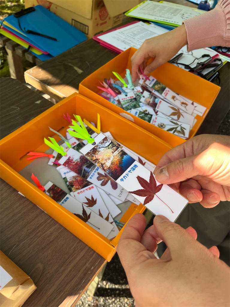 f:id:goukakuigakubu:20241105092024j:image