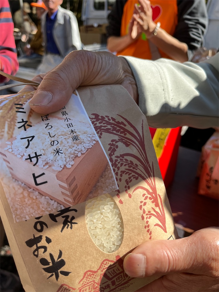 f:id:goukakuigakubu:20241105092516j:image