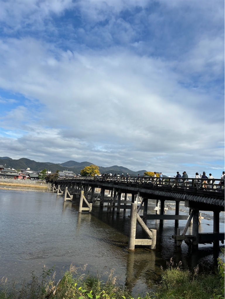 f:id:goukakuigakubu:20241118090848j:image