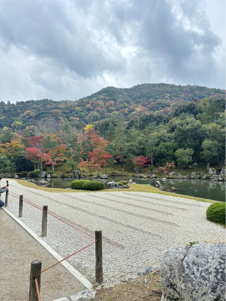 f:id:goukakuigakubu:20241118090851j:image