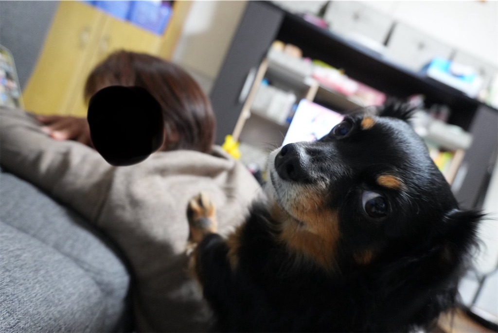 f:id:goukakuigakubu:20241126080100j:image