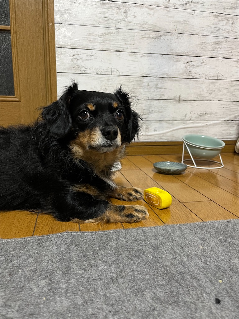 f:id:goukakuigakubu:20241126092855j:image