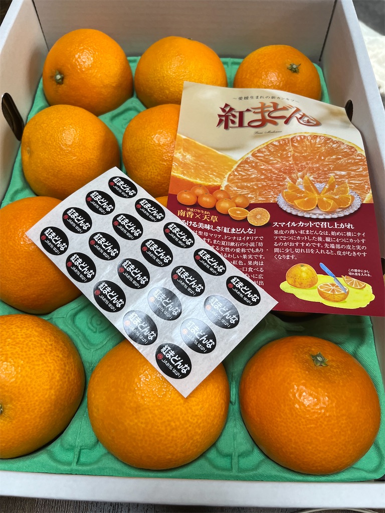f:id:goukakuigakubu:20241128093600j:image