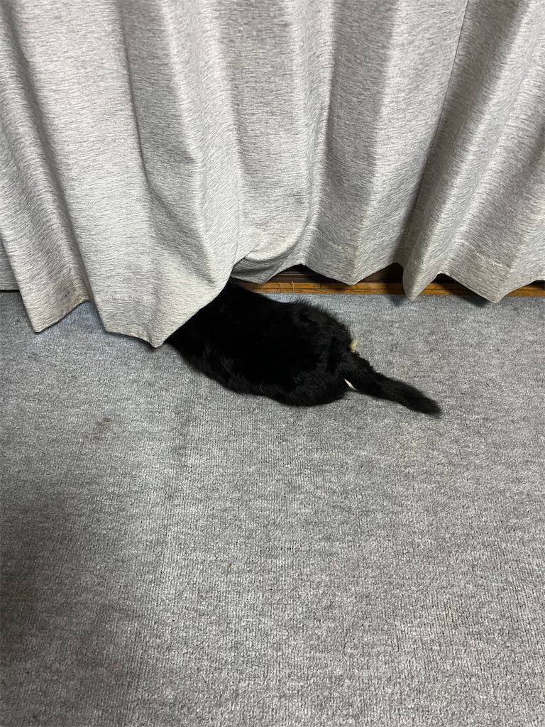 f:id:goukakuigakubu:20241130093836j:image