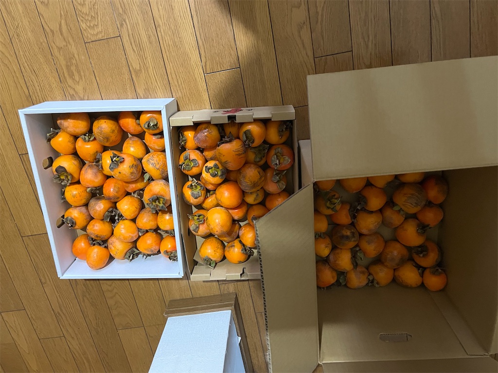 f:id:goukakuigakubu:20241204130646j:image