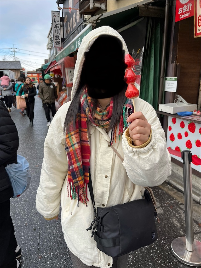 f:id:goukakuigakubu:20241214185901j:image