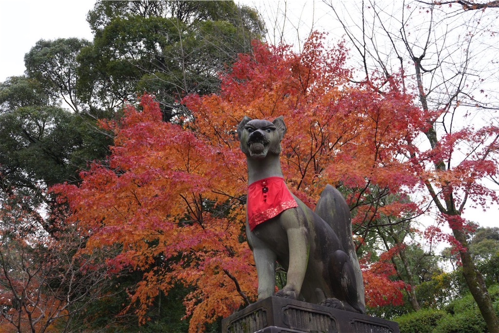 f:id:goukakuigakubu:20241216091806j:image