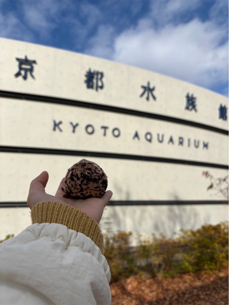 f:id:goukakuigakubu:20241218084819j:image