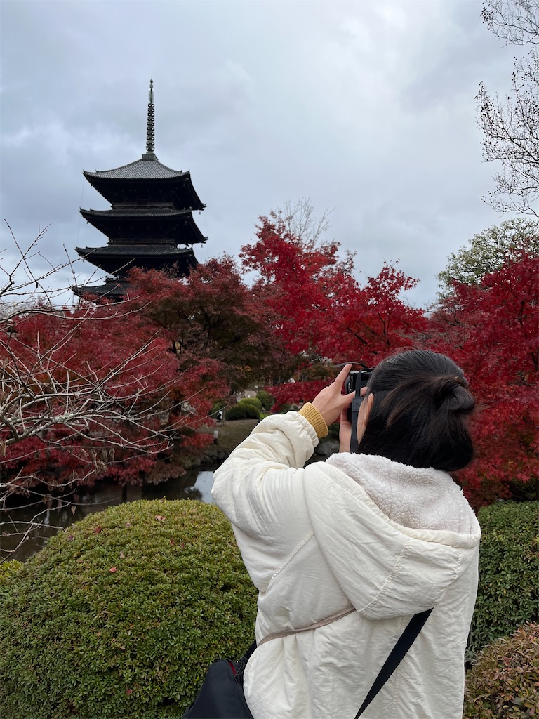 f:id:goukakuigakubu:20241219164751j:image