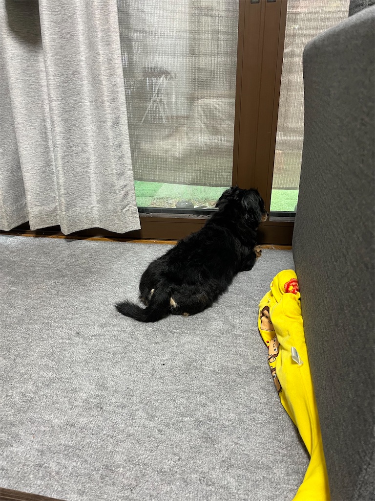f:id:goukakuigakubu:20241223145840j:image