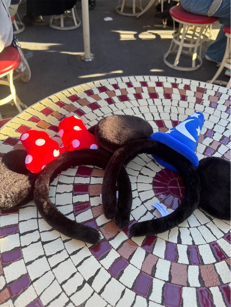 f:id:goukakuigakubu:20241225075415j:image