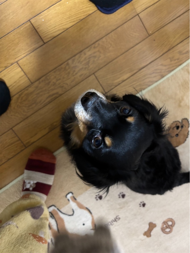 f:id:goukakuigakubu:20250112112219j:image f:id:goukakuigakubu:20250112112219j:image