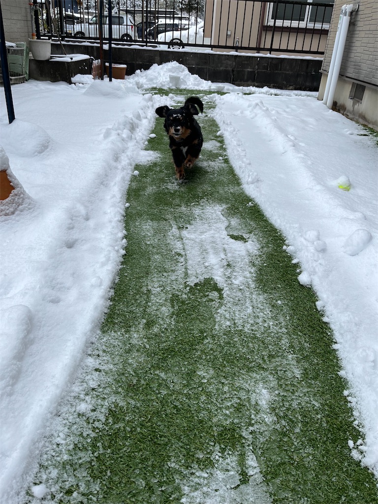 f:id:goukakuigakubu:20250205200538j:image