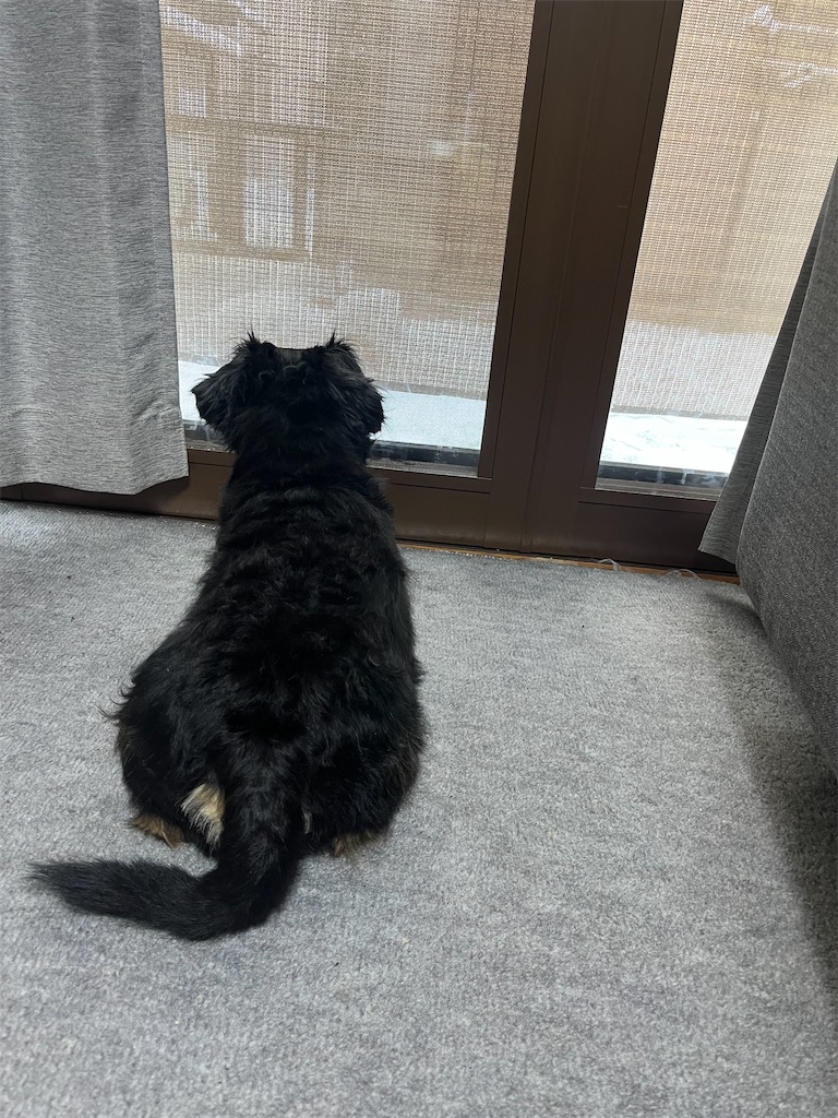 f:id:goukakuigakubu:20250207180123j:image