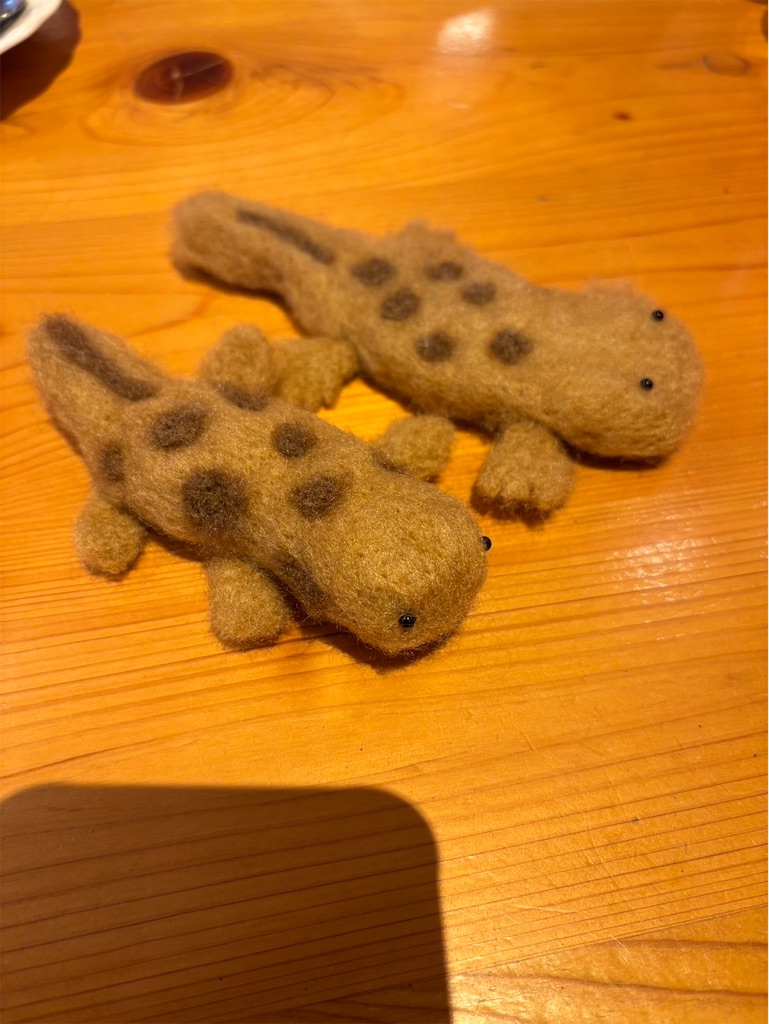 f:id:goukakuigakubu:20250226073823j:image