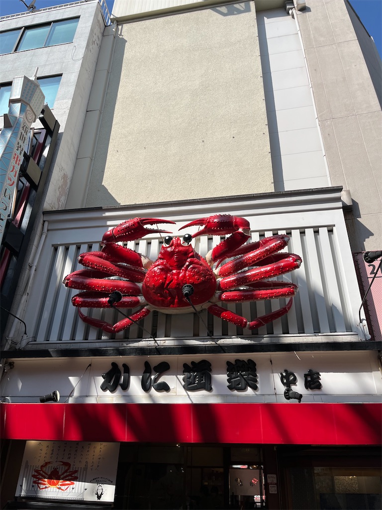 f:id:goukakuigakubu:20250302153840j:image