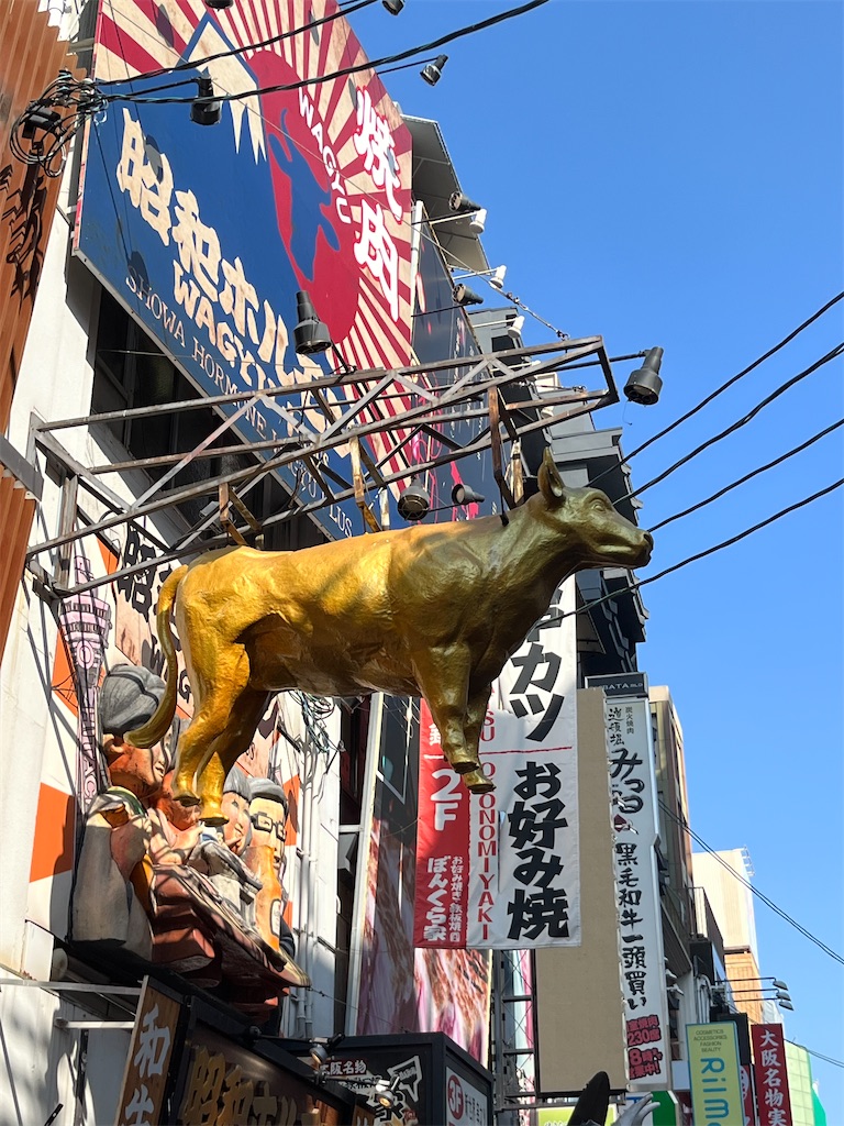 f:id:goukakuigakubu:20250302153844j:image