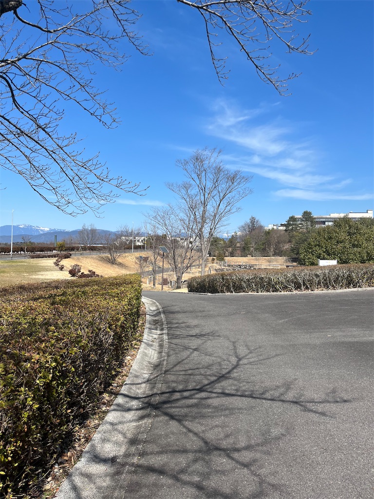 f:id:goukakuigakubu:20250313102318j:image