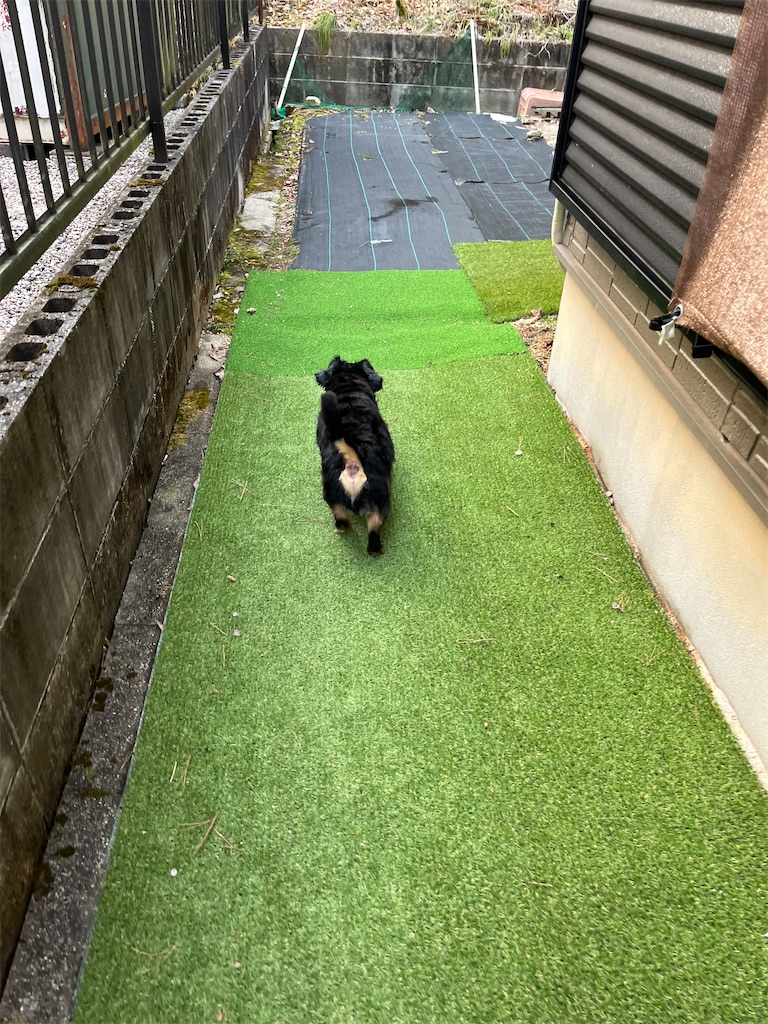 f:id:goukakuigakubu:20250326143410j:image