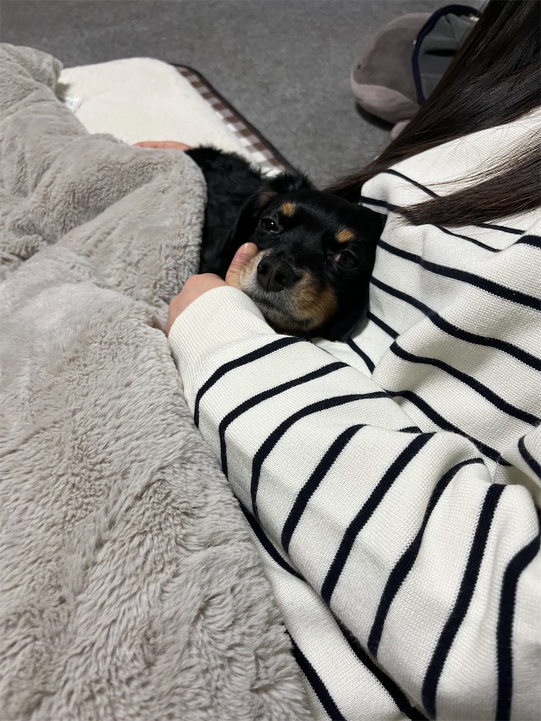 f:id:goukakuigakubu:20250401104910j:image